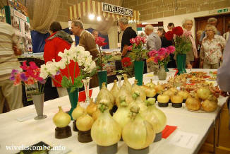 wiveliscombe flower show 2010